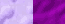 Fond de page web Couleur dominante Violet